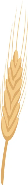 Ilustrasi Vektor Telinga Rye Plant - Stok Vektor