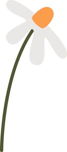 Kamillenblüte Auf Stammvektorillustration — Stockvektor
