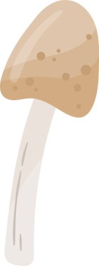 Mantar Bitkisi Simgesi Vektör İllüstrasyonu