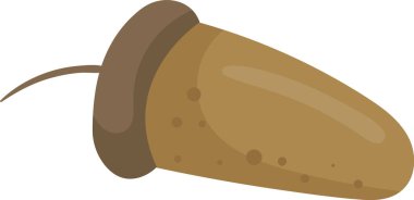 Meşe Meşesi Meyve Vektörü İllüstrasyonu