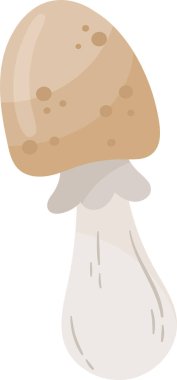 Armillaria Mellea Mantar Bitki Vektörü İllüstrasyonu