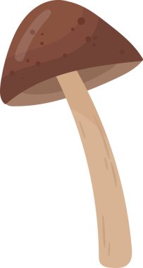 Mantar Bitkisi Simgesi Vektör İllüstrasyonu