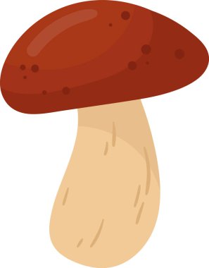 Boletus Edulis Mantar Bitkisi Vektör İllüstrasyonu
