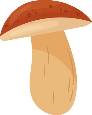 Boletus Edulis Mantar Bitkisi Vektör İllüstrasyonu