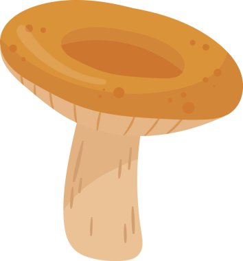 Camelina Mantar Bitki Vektörü İllüstrasyonu