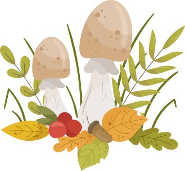 Mantar Çiçeği Hayat Bileşimi Vektör İllüstrasyonu