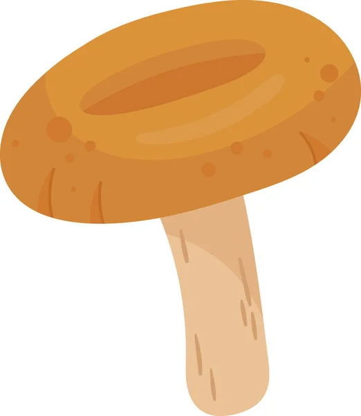 Camelina Mushroom Plant Vector Ilustración — Archivo Imágenes Vectoriales