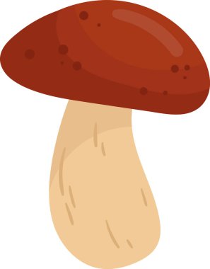 Boletus Edulis Mantar Bitkisi