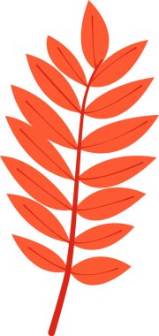 Şube yaprakları vektör çizim ile