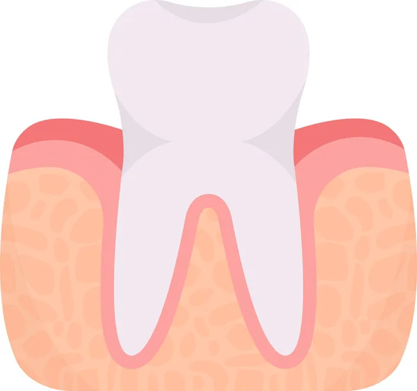 Healthy Tooth Organ Vector Illustration — Stock Vector