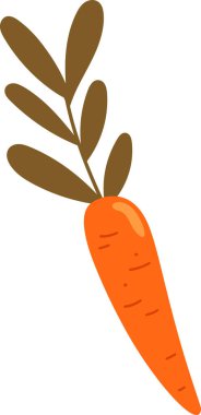 Yaprak Vektörü İllüstrasyonlu Havuç