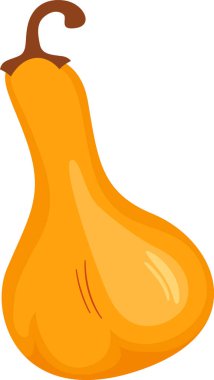 Balkabağı Sebze Olgun Vektör İllüstrasyonu