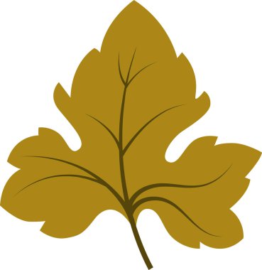 Sonbahar Üzümleri Yaprak Vektörü İllüstrasyonu