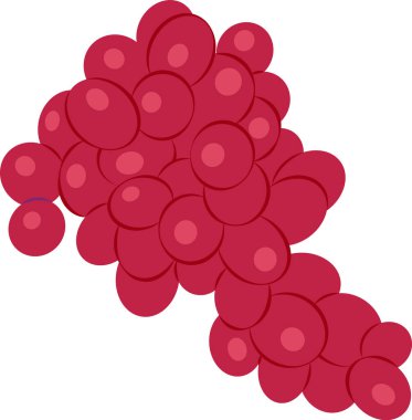 Üzüm vektör çizimi