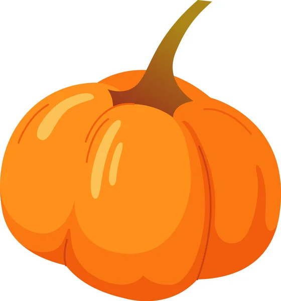 Autumn Pumpkin Vegetable Vector Illustration — Stock Vector