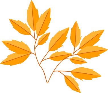 Şube yaprakları vektör çizim ile