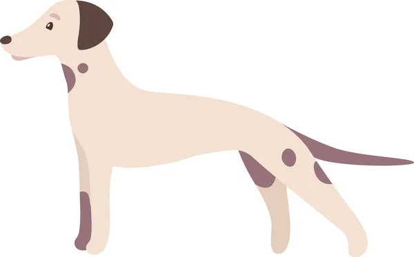 Spaniel Pies Wektor Ilustracja — Wektor stockowy