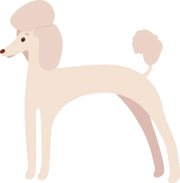 Poodle Dog Pet Vector Illustration — Stock Vector