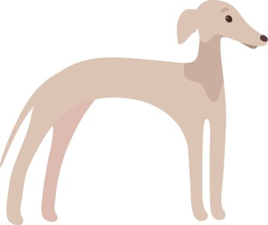 Greyhound Dog Hayvan Vektörü İllüstrasyonu