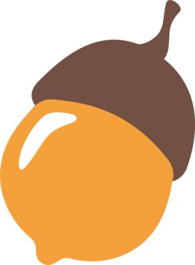 Meşe Meşesi Meyve Vektörü İllüstrasyonu