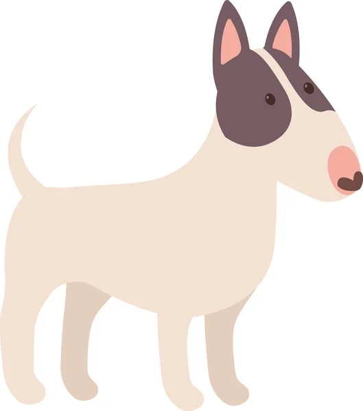 Bull Terrier Dog Pet Vector Ilustração — Vetor de Stock