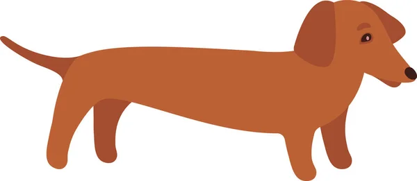 Векторная Иллюстрация Собак Таксы — стоковый вектор