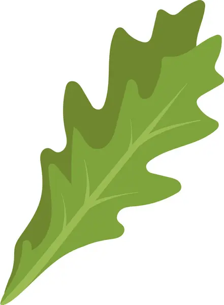Illustration Vectorielle Des Feuilles Salade — Image vectorielle