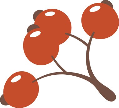 Böğürtlen Vektörü İllüstrasyonlu Şube