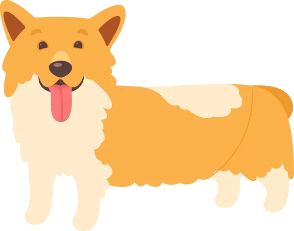 Corgi Dog Pet Vector Illustration — Stockvektor