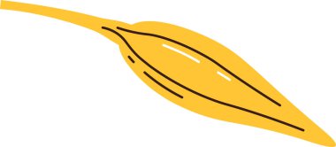 Buğday Tanesi Simgesi Vektör İllüstrasyonu