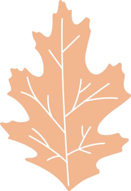 Çiçek Botanik Yaprak Vektörü İllüstrasyonu