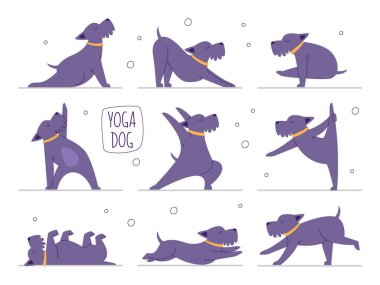 Yoga köpek seti. Vücut sporu eğitimi vektör çizimi yapan sevimli bir evcil hayvan. Farklı pozlarda duran komik köpek yavrusu, jimnastik ve meditasyondan zevk alıyor.