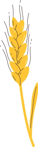 Ухо Векторной Иллюстрации Пшеницы — стоковый вектор