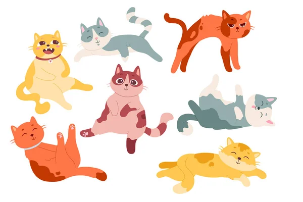 Divertido Gato Doméstico Animal Compañía Personaje Dibujos Animados Diferentes Poses — Archivo Imágenes Vectoriales