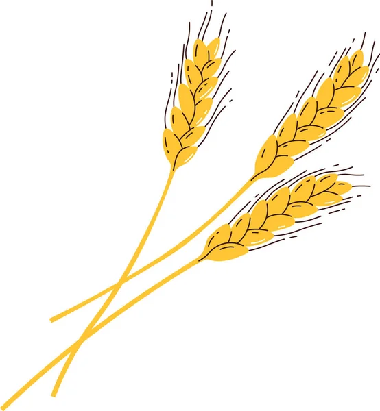 小麦ベクターイラストの耳 — ストックベクタ