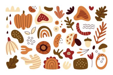 El çizimi soyut sonbahar sembolleri. Yaratıcı renkli sonbahar sezonu güzel doğa vektör çizimleri. Sonbahar bitkisi yaprakları, sebzeler, böğürtlenler, doğal elementlerin modaya uygun basit çizimleri