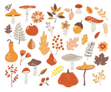 Botanik sonbahar bahçesi, orman veya park elementleri sebzeler, meyveler, yapraklar, çiçekler, böğürtlenler, mantarlar, beyaz arka planda meşe palamudu ile izole edilmiş. Sonbahar mevsimi çizim simgeleri vektör çizimi