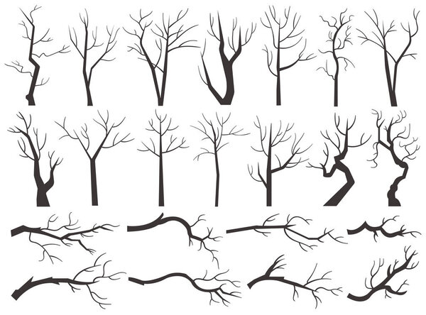 Tree trunk, naked plants with black leafless branch silhouettes isolated set on white. Bareness vegetation for forest woodland, forest, garden or park environment landscaping vector illustration