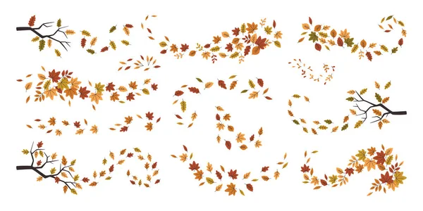 Krásné Podzimní Listy Lesní Zahrady Listoví Víří Izolované Sezónní Abstraktní — Stockový vektor