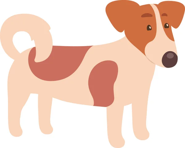 Spaniel Dog Pet Vector Ilustración — Vector de stock