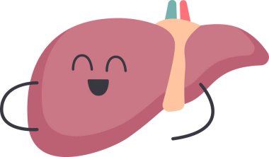 Karaciğer Organı Karakteri Vektör İllüstrasyonu