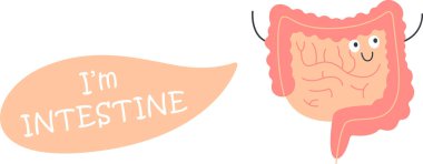 Bağırsak Organı Karakteri Vektör İllüstrasyonu