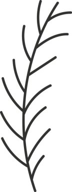 Firavun Ağacı Şubesi Vektör İllüstrasyonu