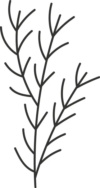 Fir Tree Branch Vector Illustration — Stock Vector