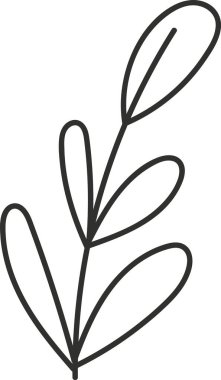 Yaprak Branşı Çizim Vektörü İllüstrasyonu