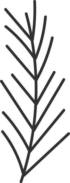 Pine Tree Branch Doodle Vector Illustration — Stock Vector