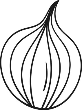 Soğan Sebze Katmanlı Vektör İllüstrasyonu