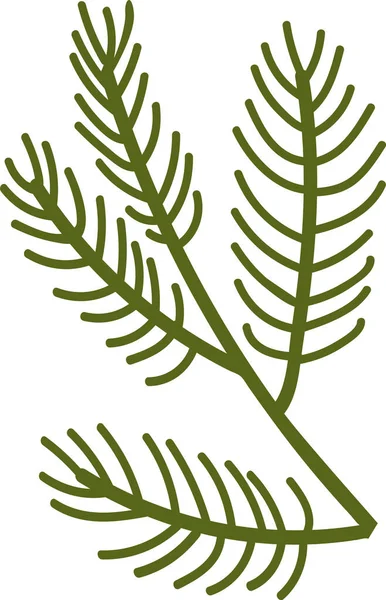 Ilustracja Wektora Ikony Gałęzi Drzew Iglastych — Wektor stockowy