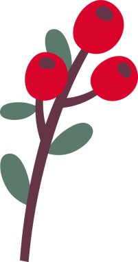 Böğürtlen Vektörü İllüstrasyonlu Şube