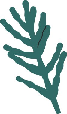 Kozalaklı Ağaç Dalları Vektör İllüstrasyonu